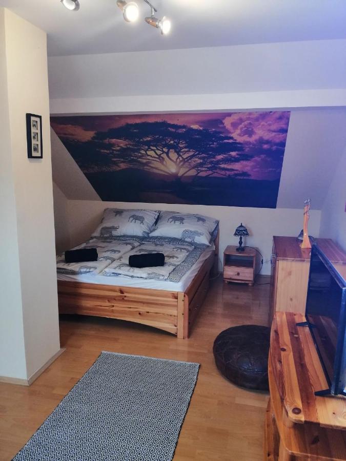 Elza Apartman Makó エクステリア 写真